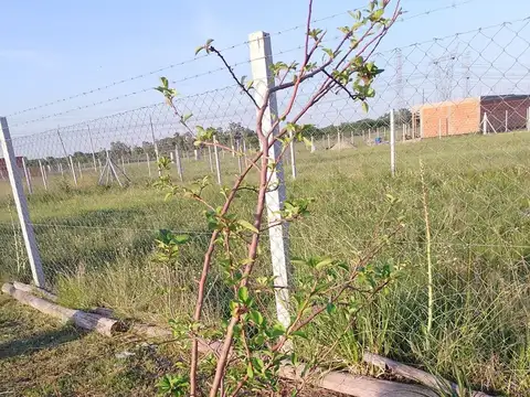 QUINTA CON LOTE DE 1250M² QUINCHO Y PILETA