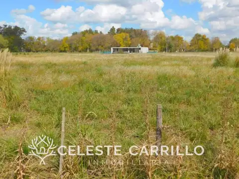 Terreno en Venta 40  mts Frente