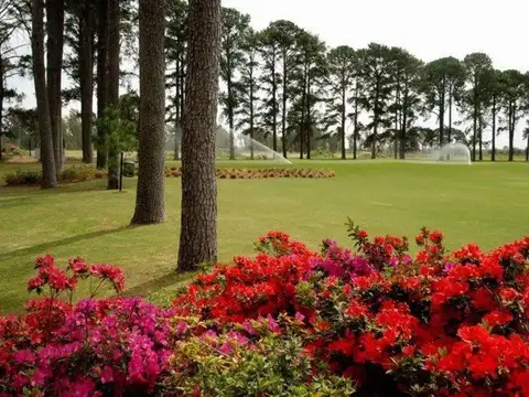 Terreno en Venta de 1629,0 m2