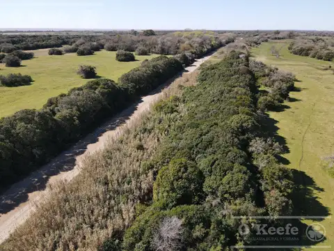 Campo en  venta 280 has Magdalena