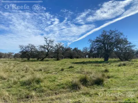 Campo en  venta 280 has Magdalena