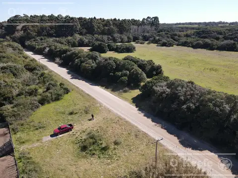 Campo en  venta 280 has Magdalena