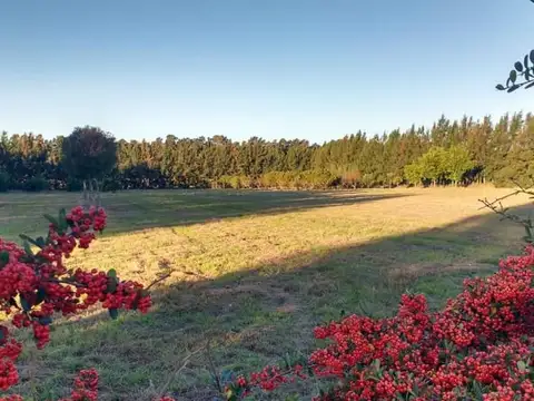 Chacras, Comarcas, Quintas. San Pedro Bs As.