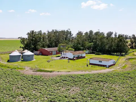 Miramar - 267 has. Agrícola