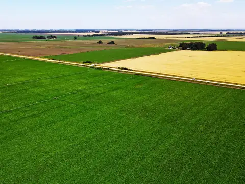 Miramar - 267 has. Agrícola