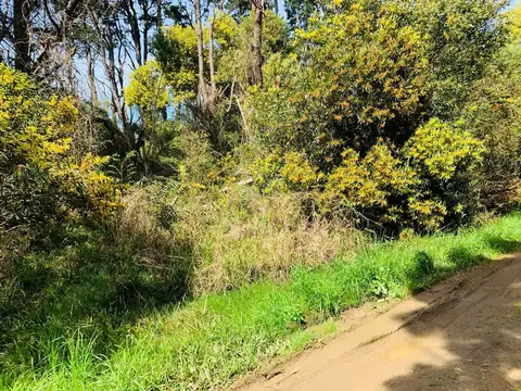 Terreno en Venta en La Pedrera, USD 17.900