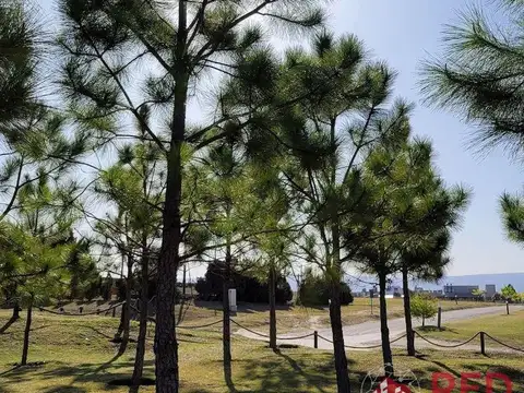 Terreno en Venta de 1323,0 m2