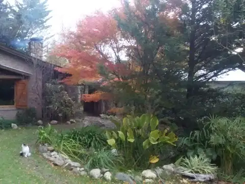 9 de Julio 543, B8168 Sierra de la Ventana, Provincia de Buenos Aires, 100