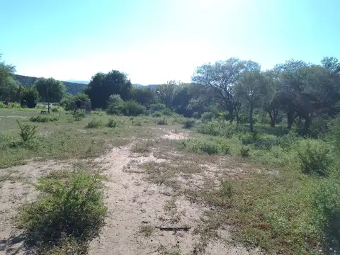 CAMPO 3,5 HECTAREAS EN NOGOLI