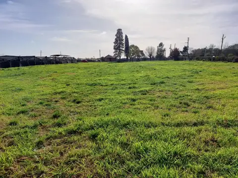 Morel y Esteban Fernández