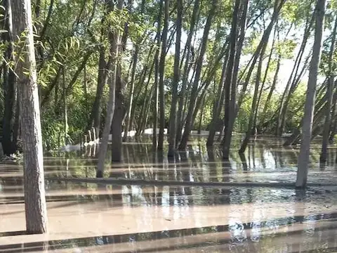 Terreno en Venta en Delta del Tigre, USD 11.500