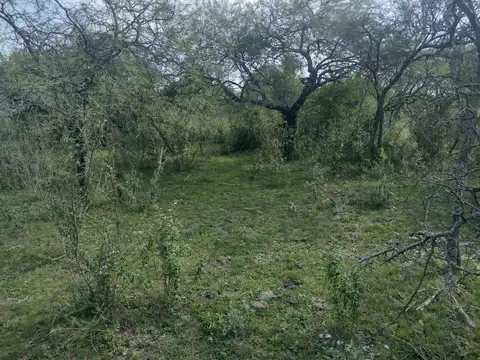 Ejido La Paz-Entre Rios