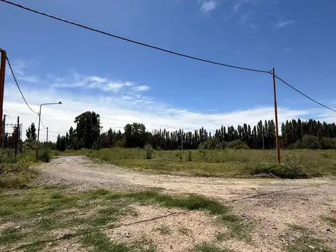 Terreno en Venta en Centenario, USD 33.000