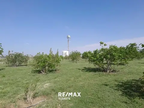 Acceso a Tornquist por ruta 33