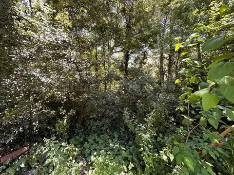 Terreno en Venta en Chascomus, USD 56.000