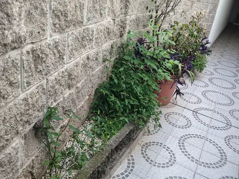 Depto Tipo Casa en Venta de 3 ambientes