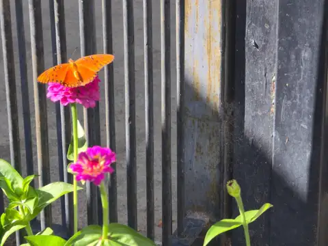 Depto Tipo Casa 4 ambientes con 1 baño