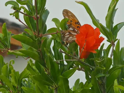 Depto Tipo Casa en Venta en General Roca, USD 80.000