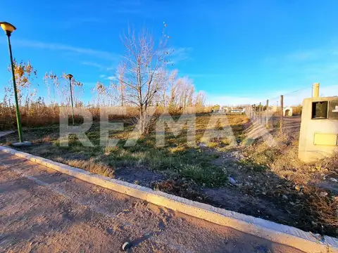 Pedro Ritossa y Los Coirones