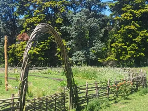 Campo en venta. Lima, Zarate