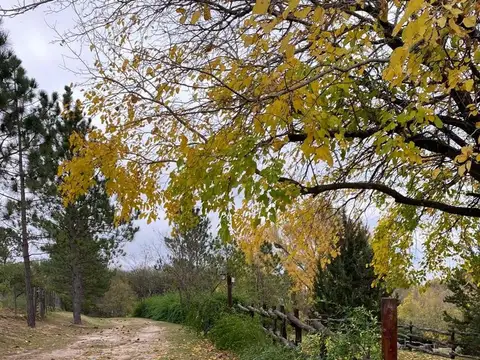 Terreno en Venta en Ascochinga, USD 50.000