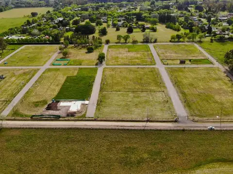 Beethoven, Lomas de Manzanares