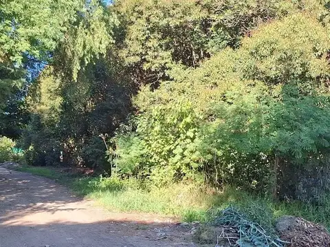 Terreno en Venta de 300,0 m2