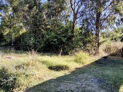 Terreno en Venta en Villa Parque Sicardi, USD 25.000