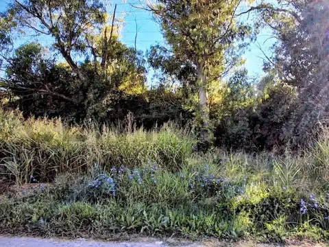 Venta de terrenos en Sicardi 300 mts2