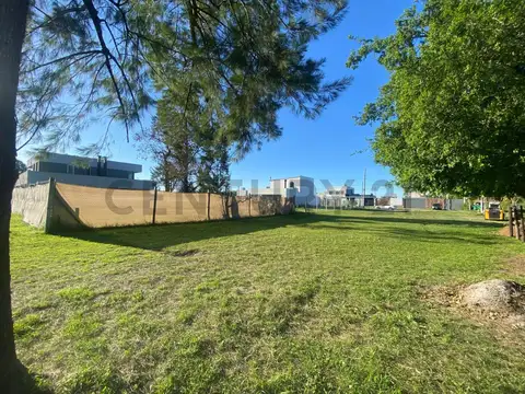 Terreno en Venta 50  mts Fondo