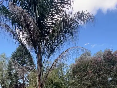 Terreno en Venta de 500,0 m2