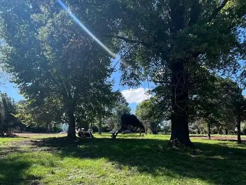 LOTES EN VENTA EN MORENO 300/400/500 m2