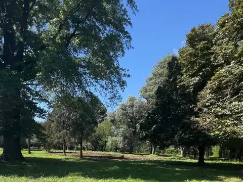 LOTES EN VENTA EN MORENO 300/400/500 m2