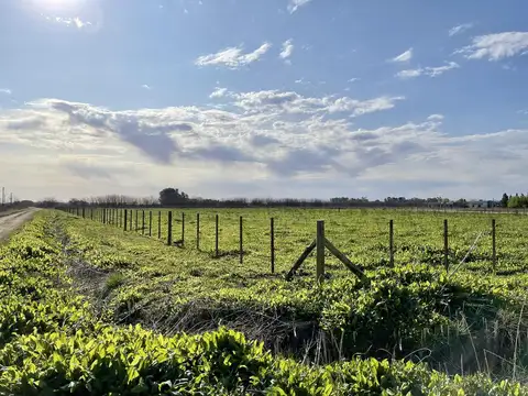 Calle 29 entre 1 y 2, Laguna de Lobos