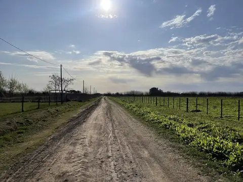 Terreno en Venta 50  mts Frente