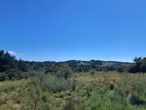 Terreno en Venta de 19600,0 m2