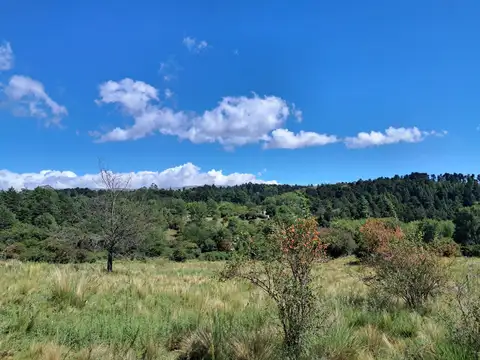 Terreno en Venta de 19600,0 m2