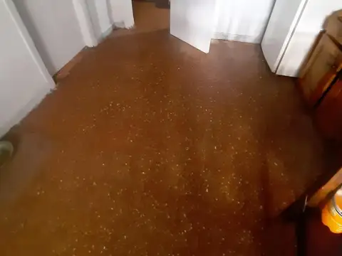 Beruti 246 San Antonio Padua ,Merlo