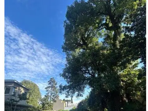 Terreno en Venta en Adrogue, USD 410.000