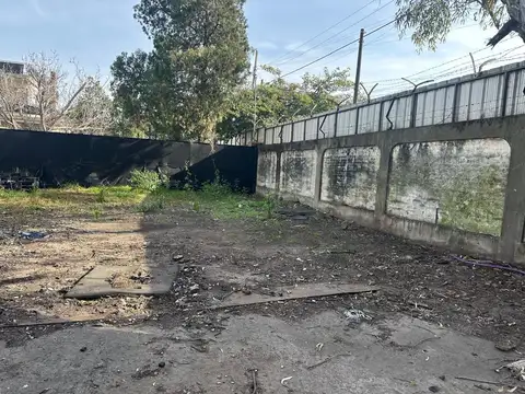 Dr. Carlos Collivadino al 400