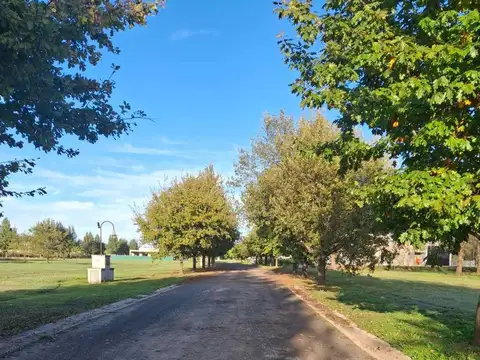 Avenida Fernández Beschtedt