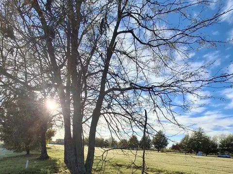 Terreno en Venta de 2004,0 m2