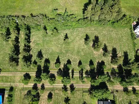 Terreno en Venta en Cayasta, USD 25.000