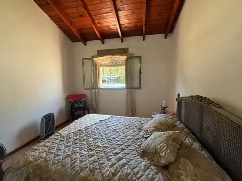 Curiale e Ibarguren 100