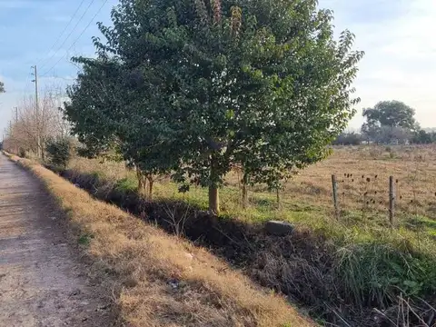 CAMPO EN VENTA LA PLATA