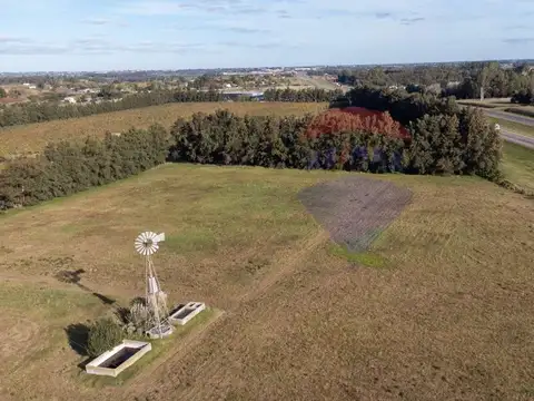 Terreno en Alquiler en Progreso, USD 1.000