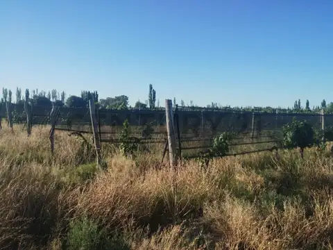 Venta de Finca en San Rafael