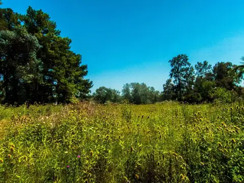 Campo en Venta de 6,50  ha