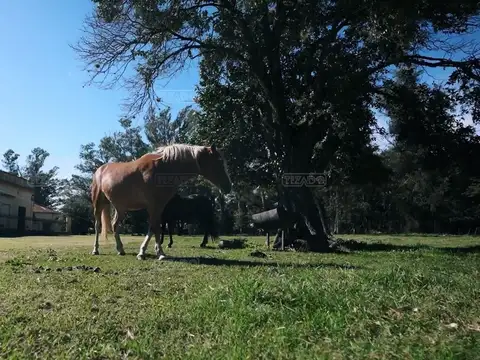 Terreno en Venta de 834,0 m2