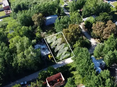 Monte Olivia S/N entre Isla Vigia e Isla Trinidad